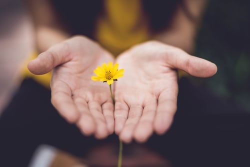 image gotten from www.unsplash.com